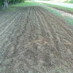 Meet your Posher, Archie